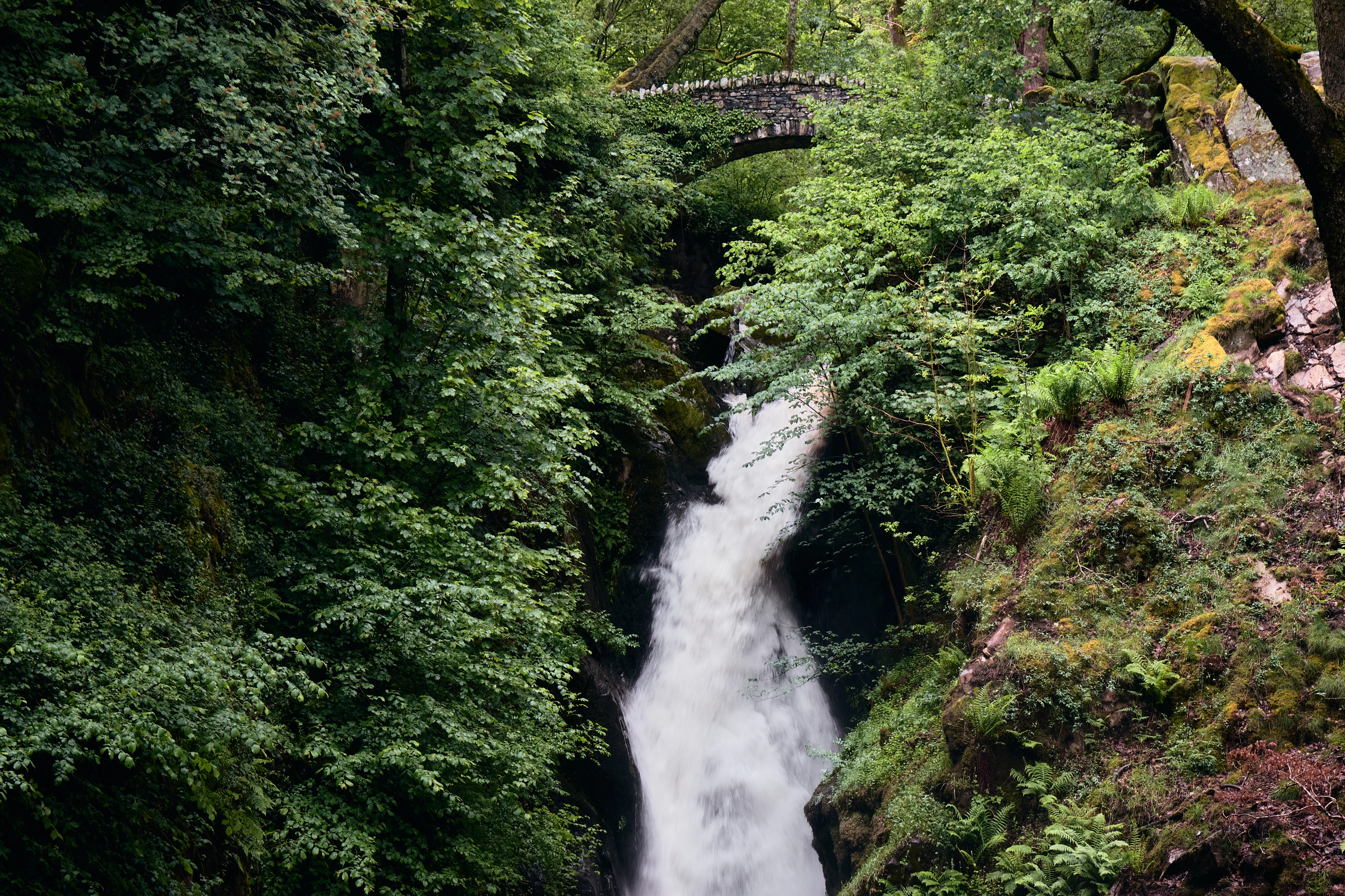 Aira Force and Gowbarrow