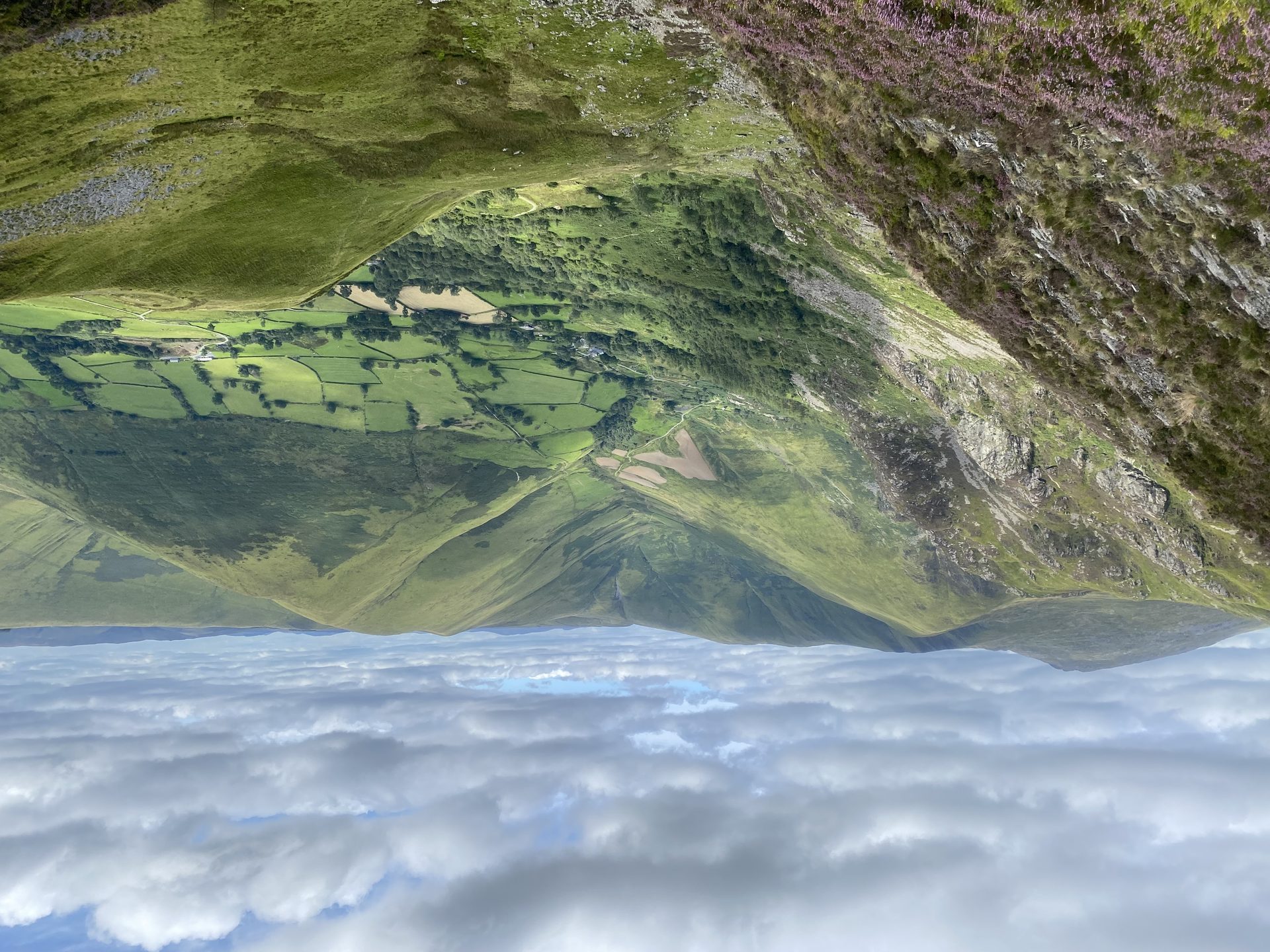 Aran Fawddwy from Cwm Cywarch