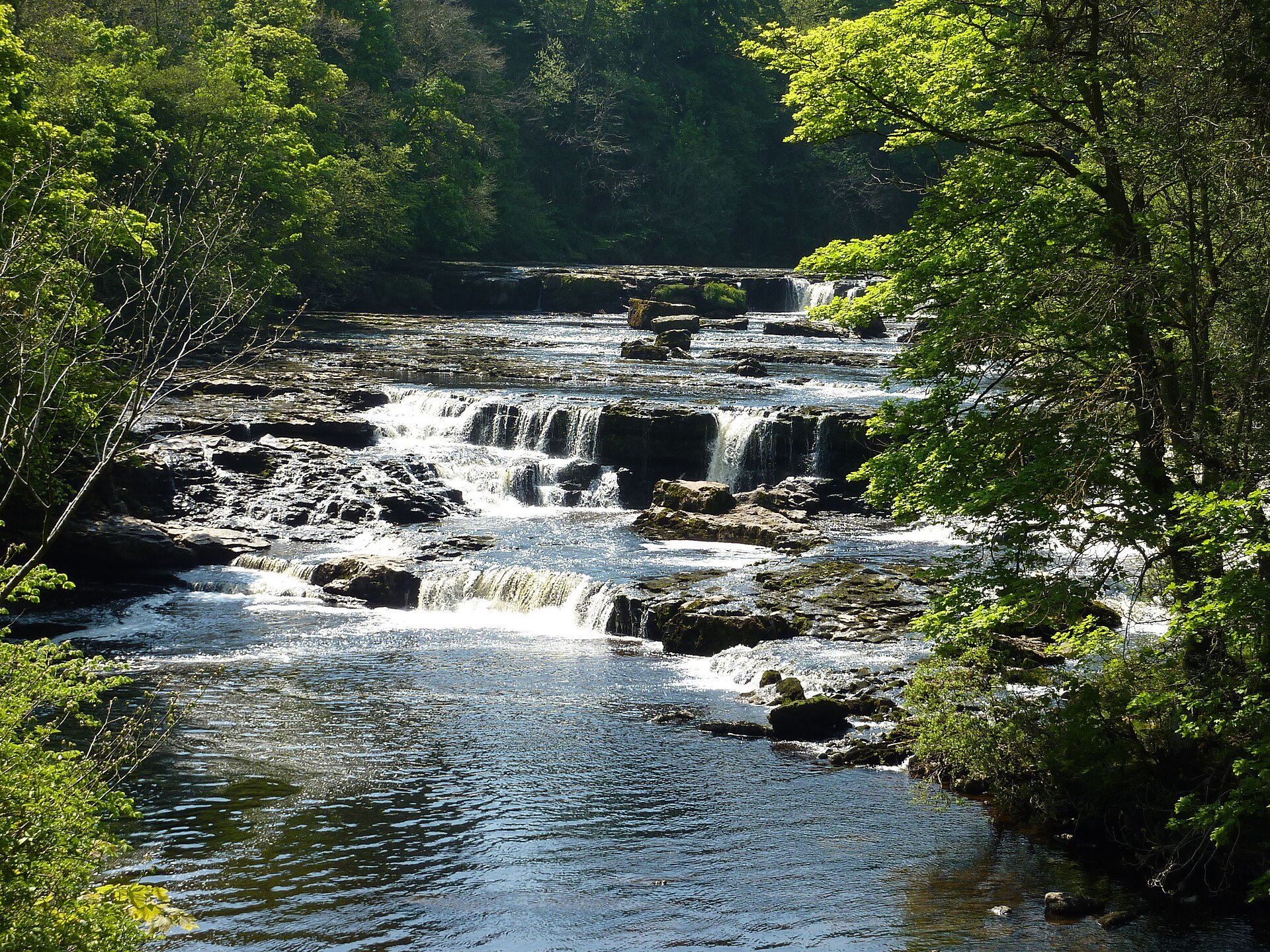 Aysgarth Falls