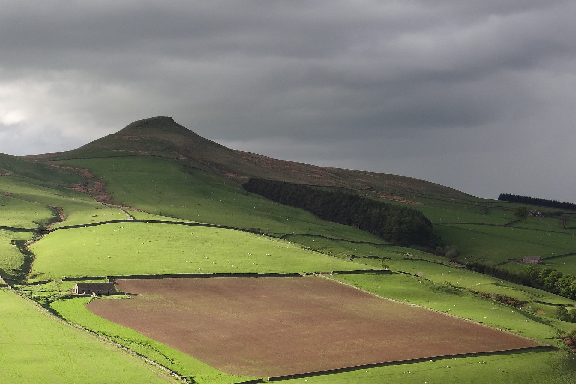 Shutlingsloe from Trentabank
