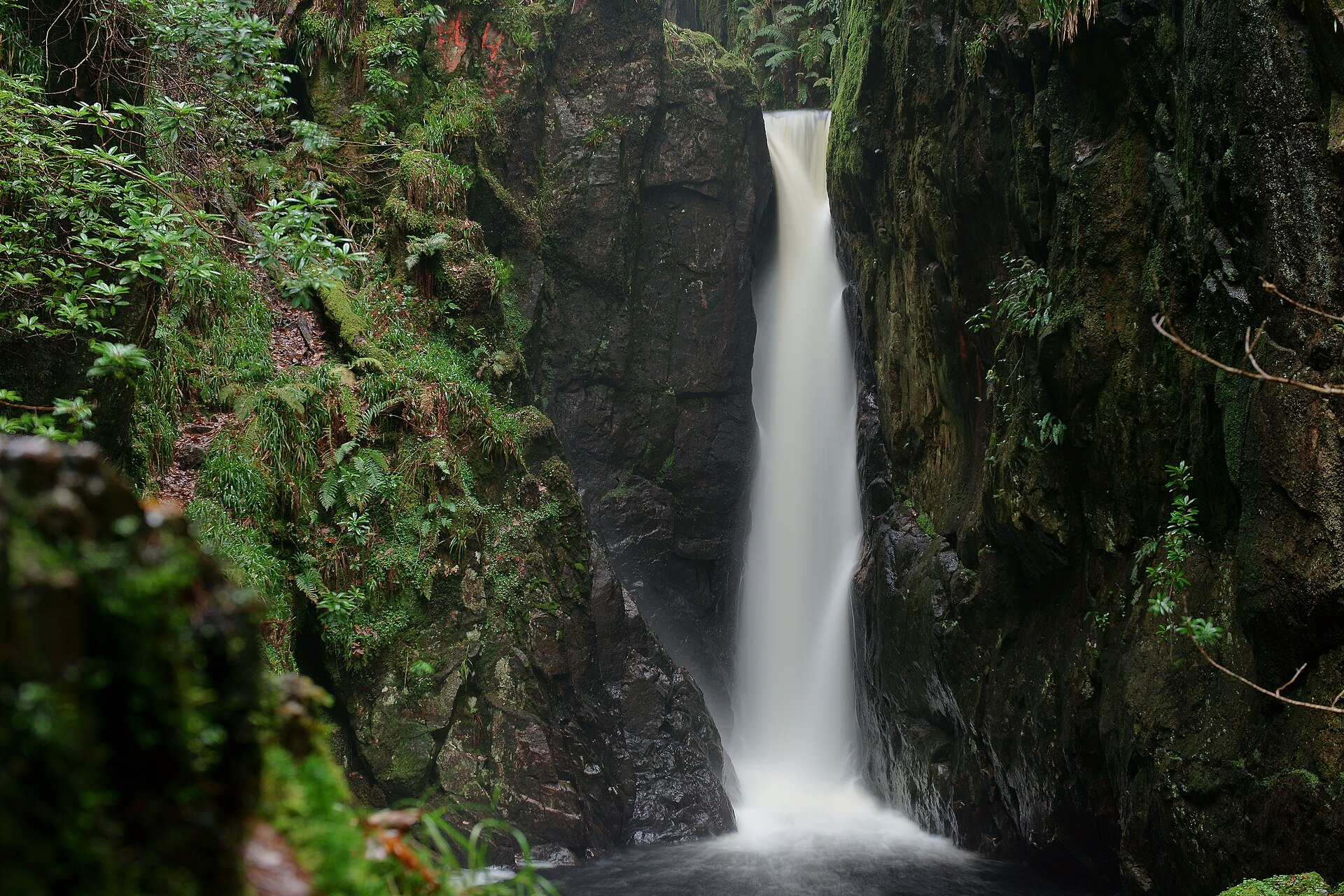 Stanley Ghyll Force from Eskdale