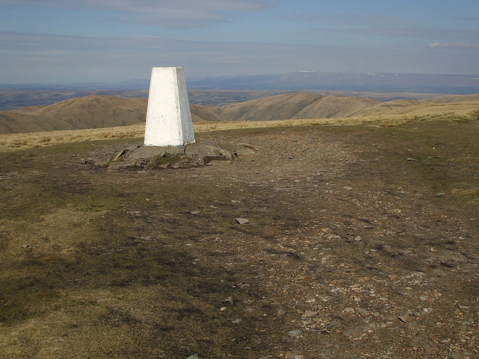 The Calf from Sedbergh