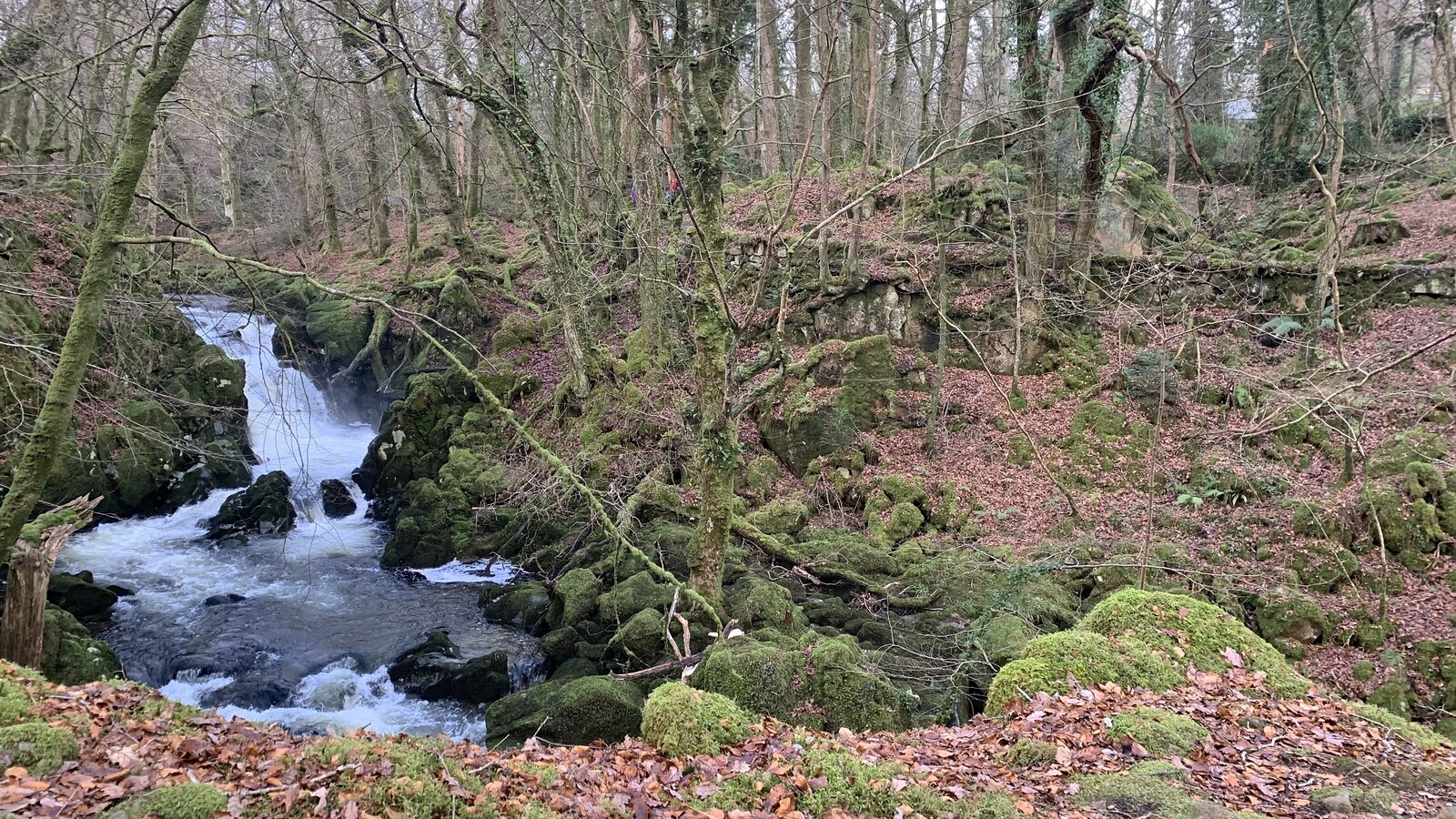Torrent Walk
