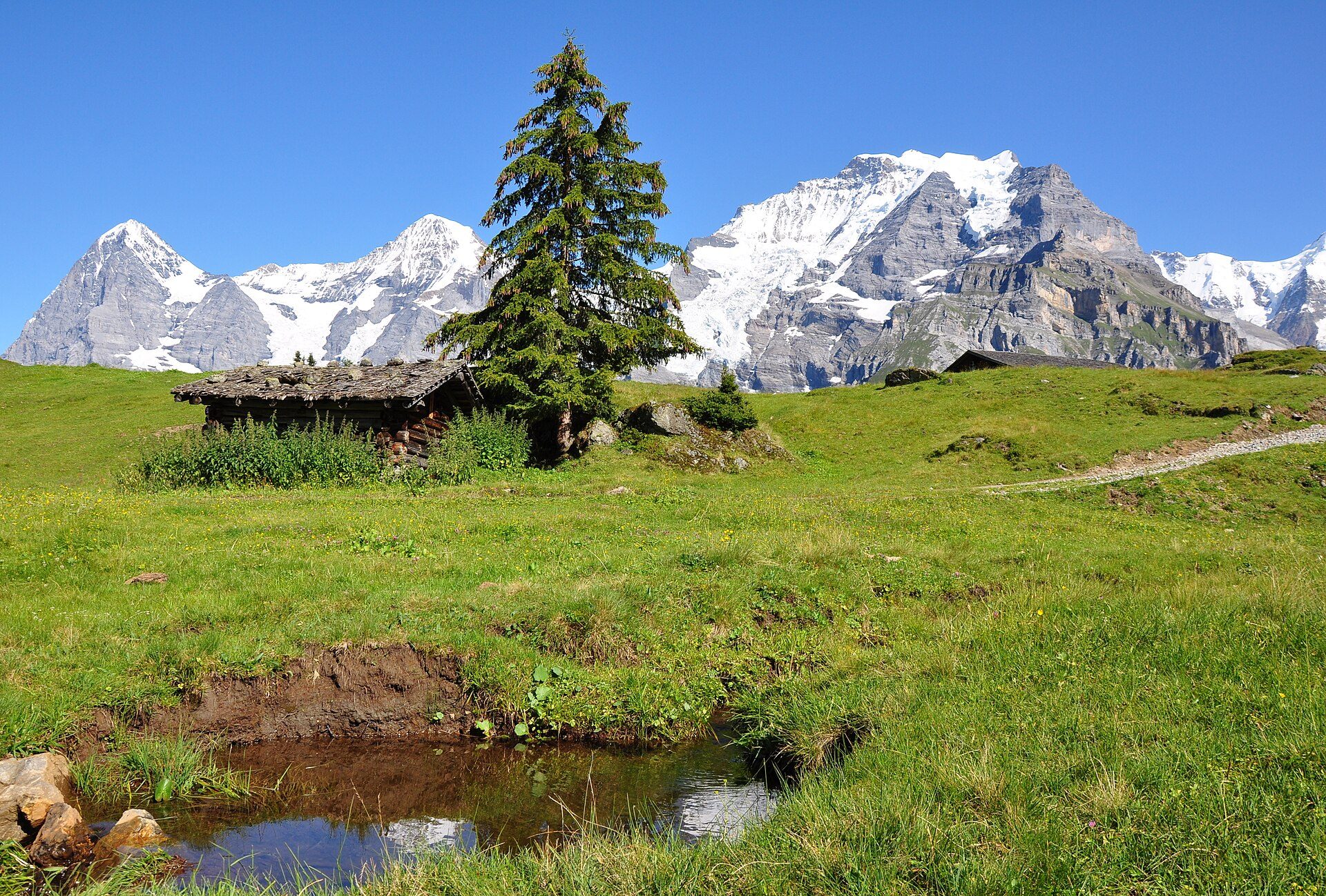 Bernese Oberland