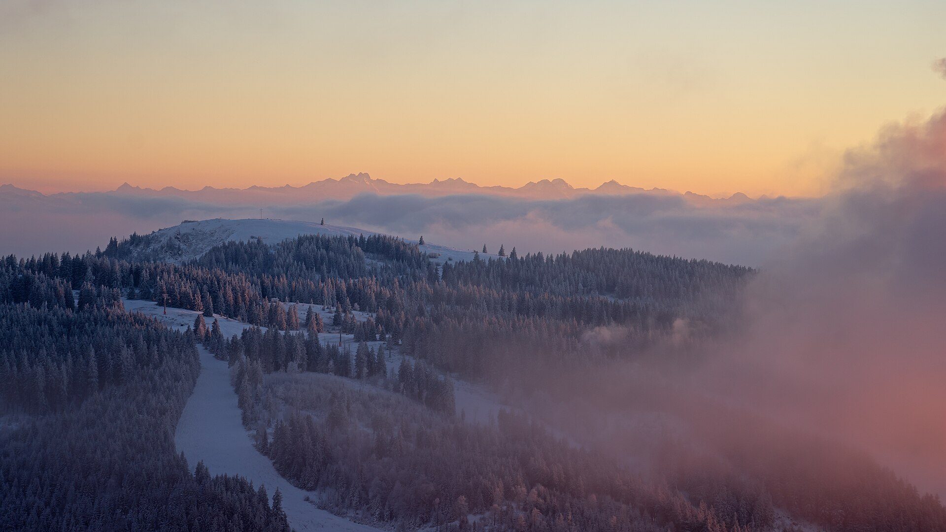 Black Forest