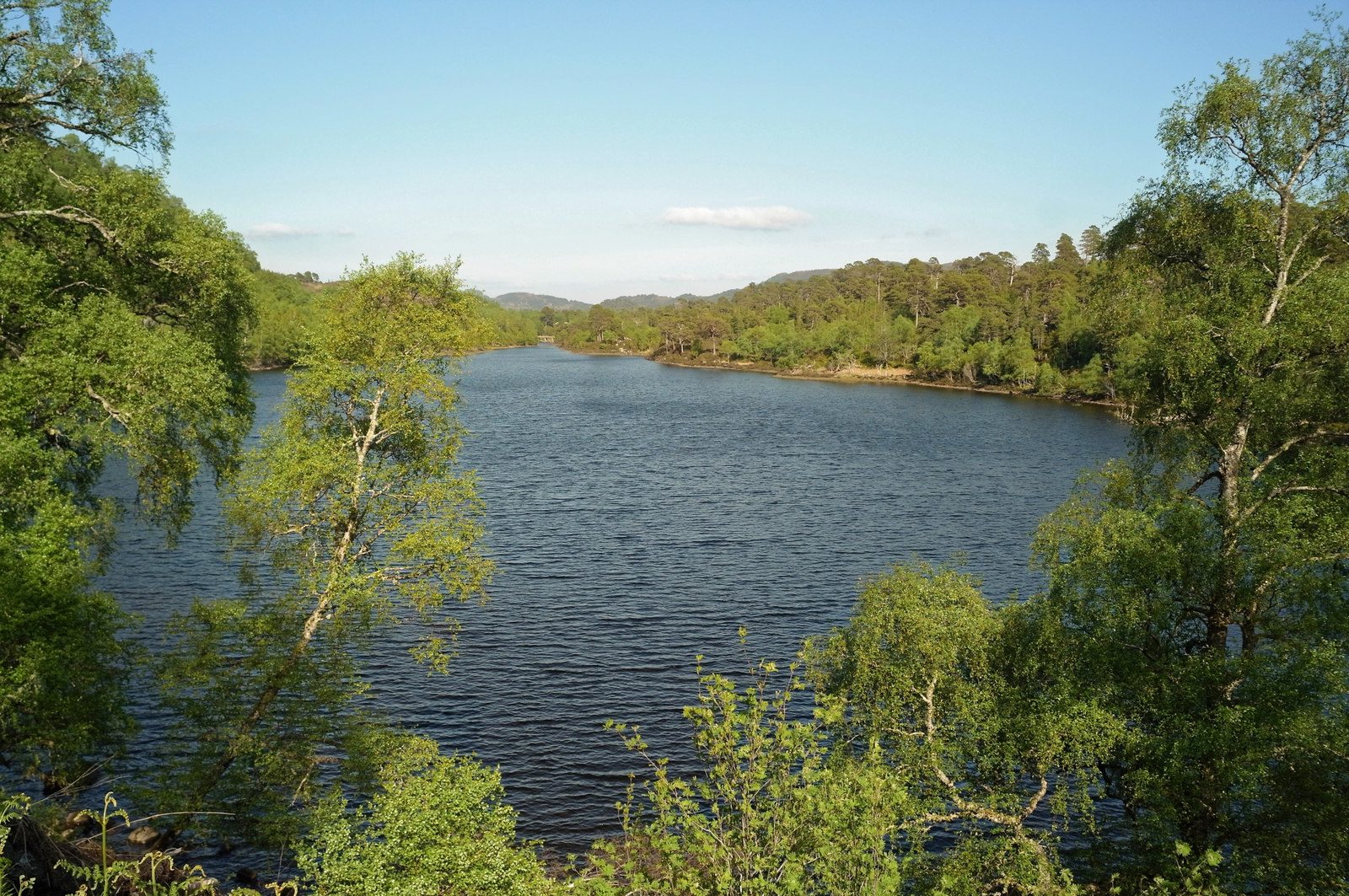 Cannich
